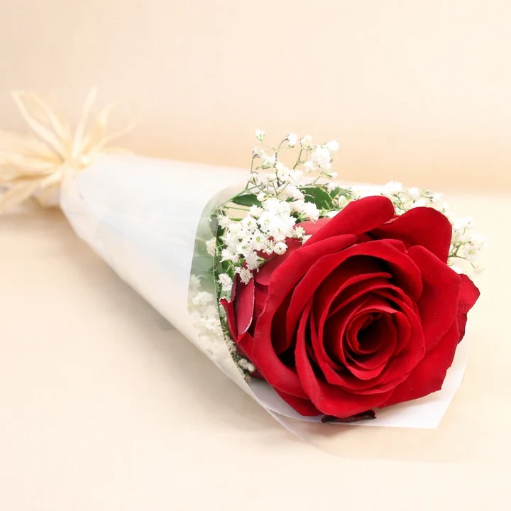 elegant single red rose bouquet